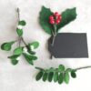Kerst Viltbloeiers - Afbeelding 4