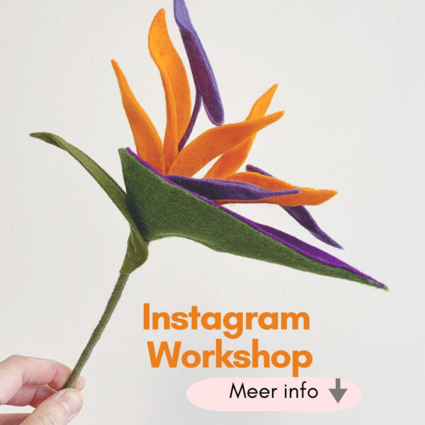 INSTAGRAM Strelitzia-workshop (sept)