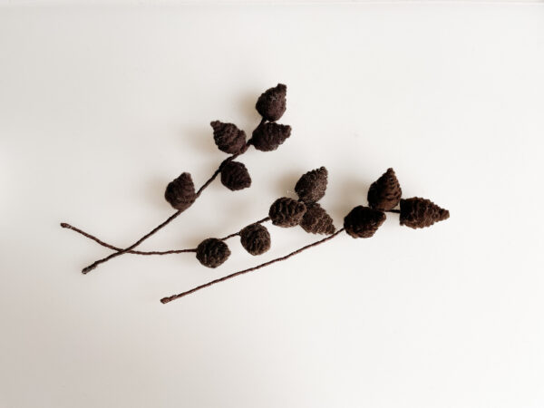 Online workshop Larixappeltjes - Afbeelding 2