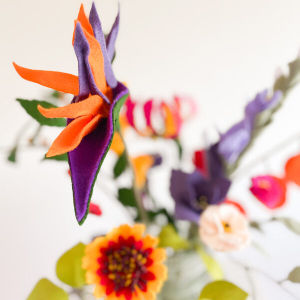 Online workshop Strelitzia - Afbeelding 2