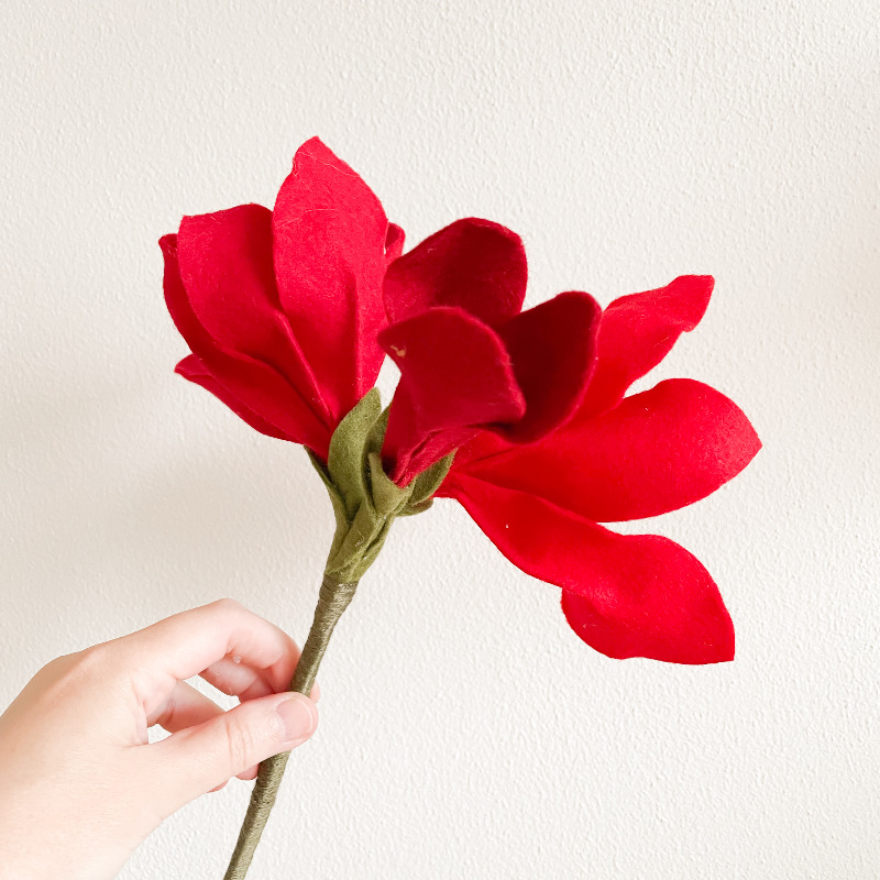 ZOOMBLOEM Amaryllis 8 & 11 december - Afbeelding 2