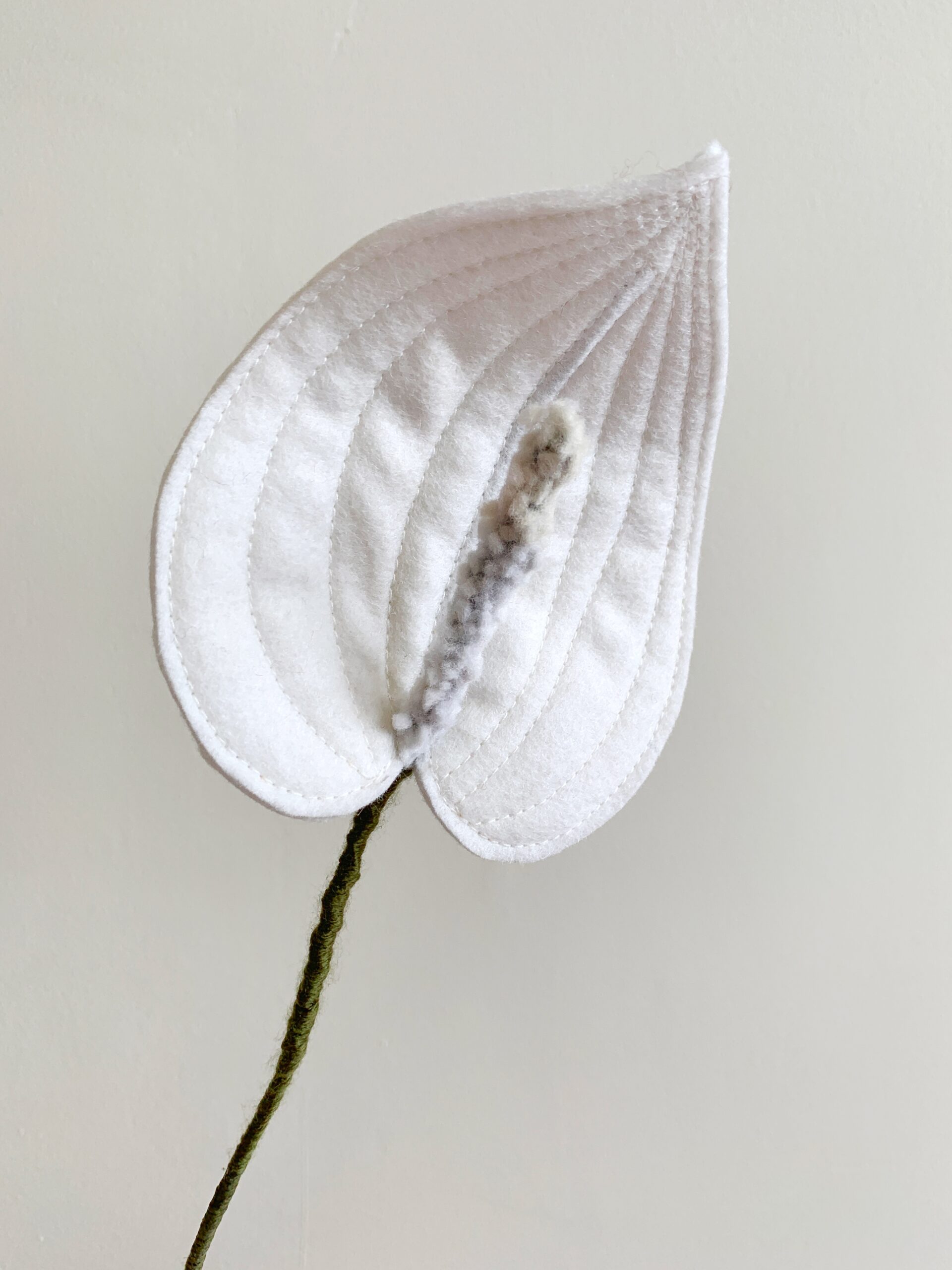 ZOOMBLOEM Anthurium (naaimachine-variant) - Afbeelding 3