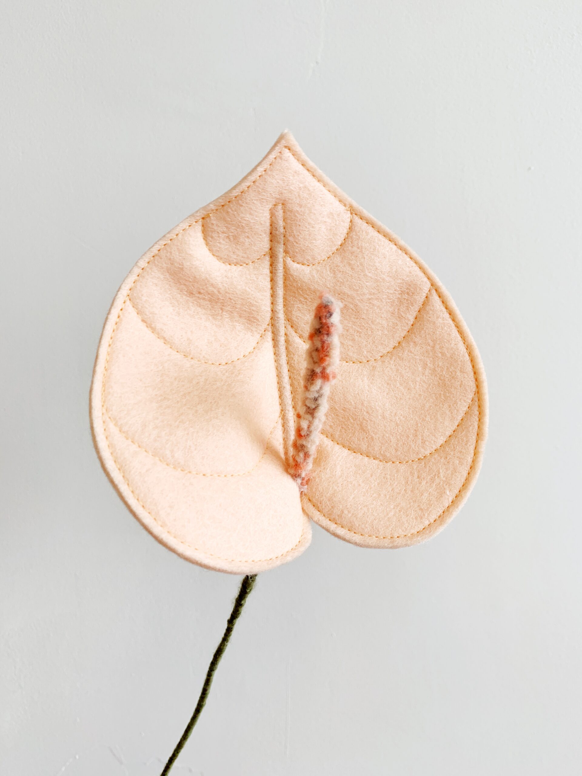 ZOOMBLOEM Anthurium (naaimachine-variant) - Afbeelding 2