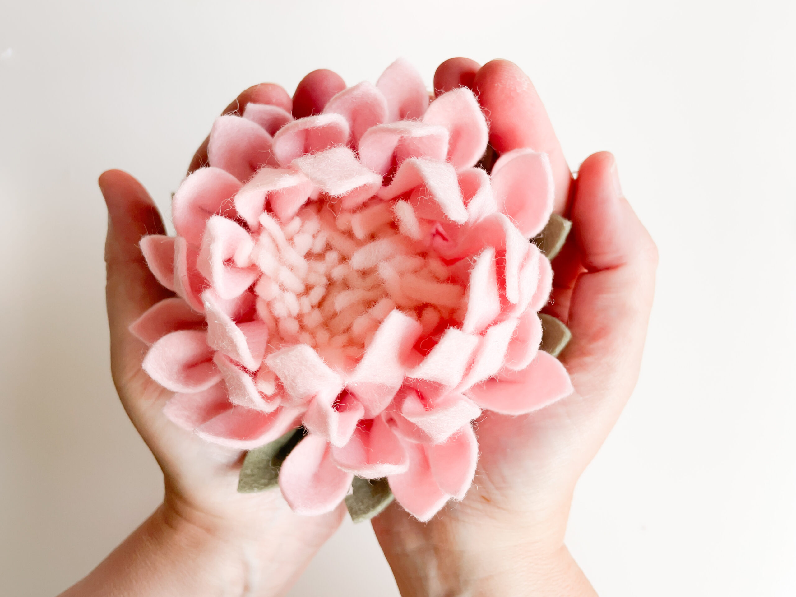 Online workshop Protea