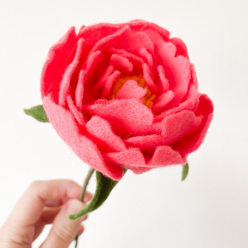 ZOOMBLOEM Damascus roos - Afbeelding 3