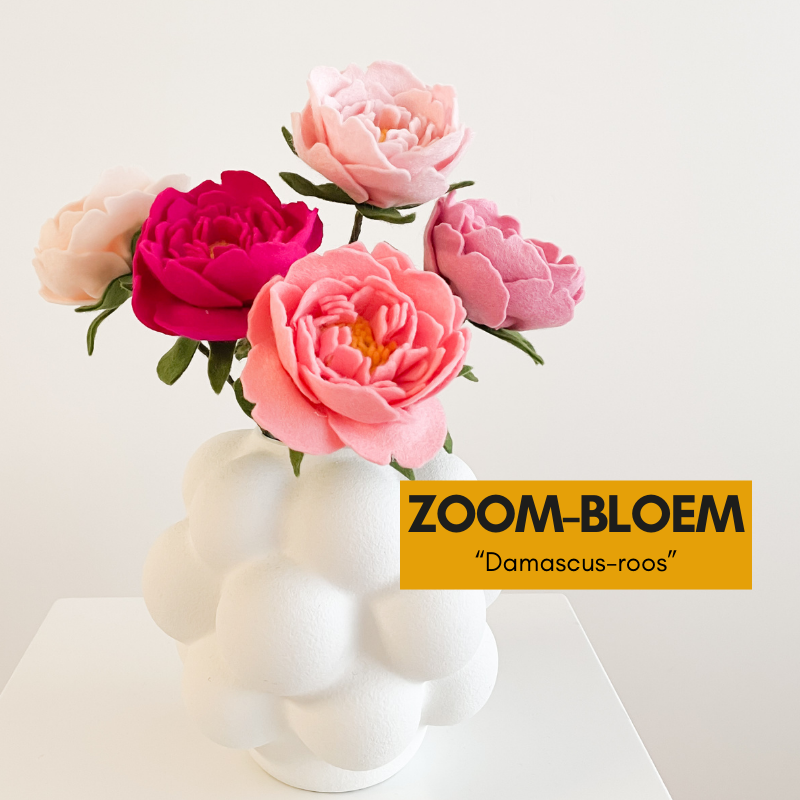 ZOOMBLOEM Damascus roos